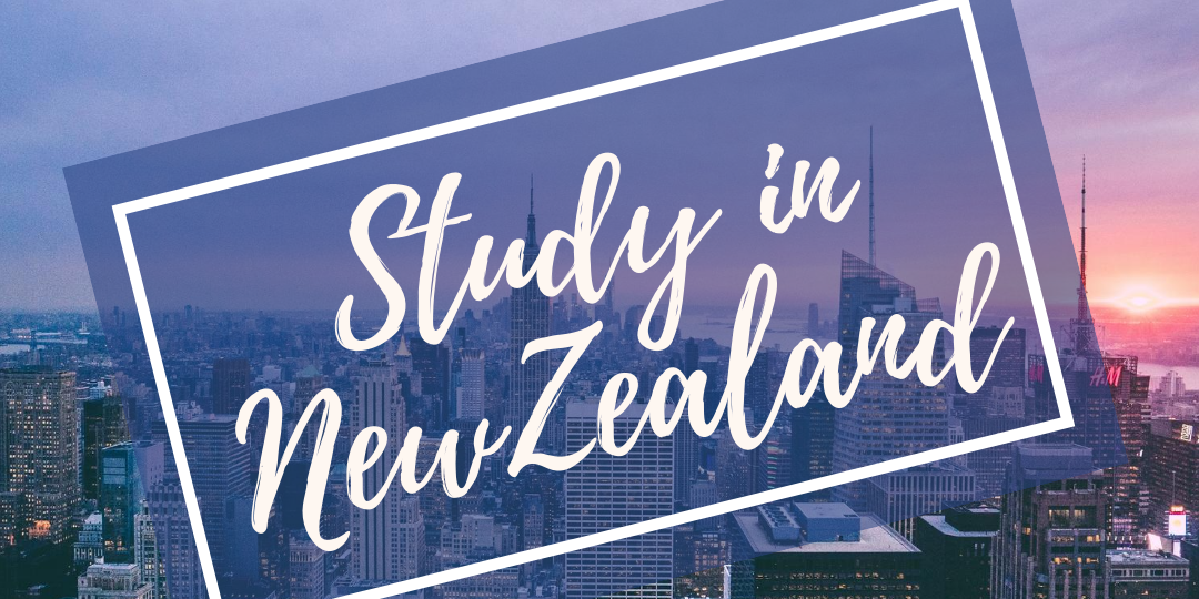 study in NZ