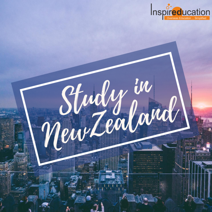 study in NZ