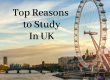 Study in UK